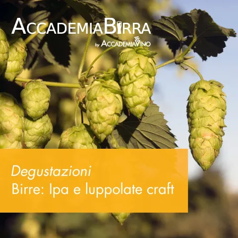 Degustazioni di approfondimento sulle birre – Birre: Ipa e luppolate contemporanee