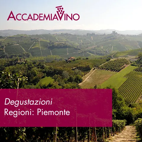 Degustazioni vino – Regioni: Piemonte