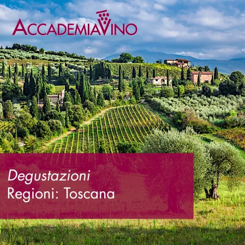 Degustazioni vino – Regioni: Toscana