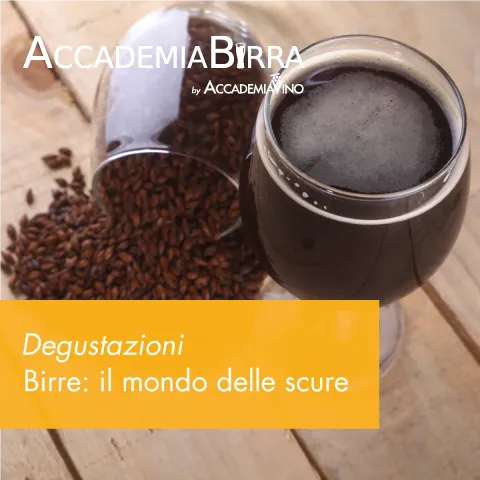 Degustazioni di approfondimento sulle birre – Birre: il mondo delle scure